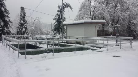 Čistilna naprava pred prenovo